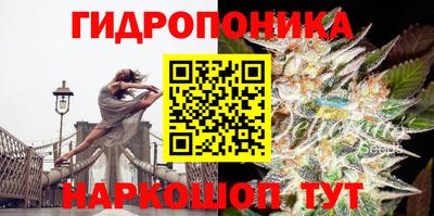 скорость Кинель