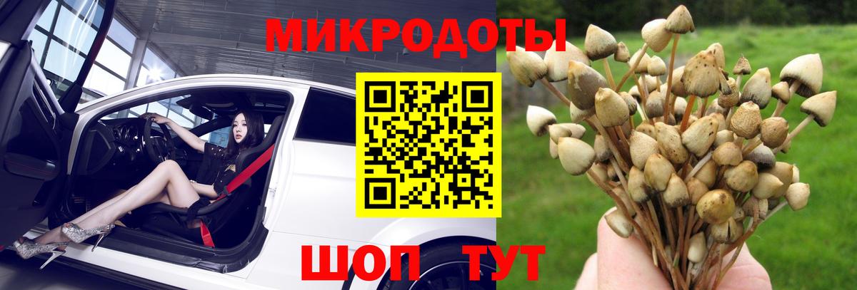 Псилоцибиновые грибы Cubensis  Галлюциногенные грибы Psilocybe  Вход с VPN  Переславль-Залесский 